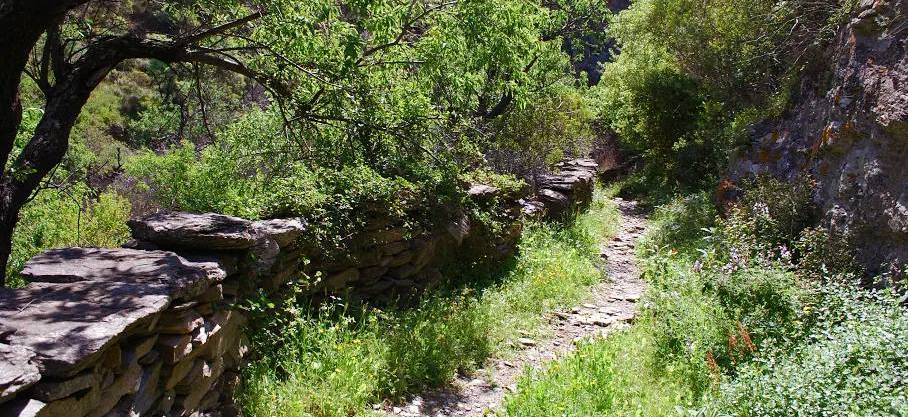 60464361_1432752600201306_3842573352715681792_n